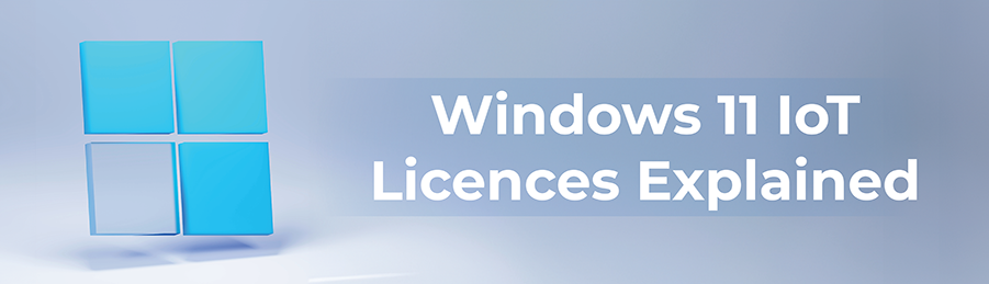 Windows 11 IoT Licence Policies Explained