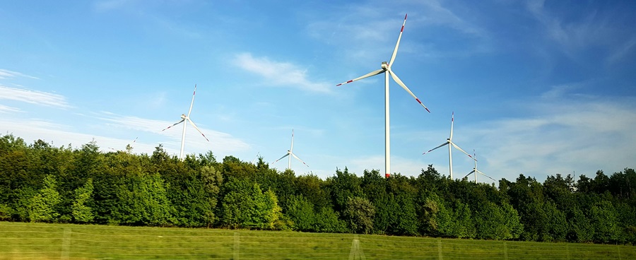 Wind turbines on a grassy field